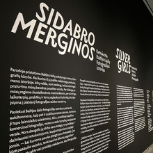 <cite>Sidabro Merginos / Silver Girls</cite>