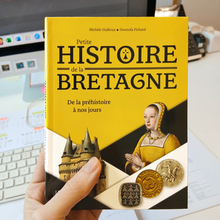 <cite>Petite histoire de la Bretagne </cite>by Michèle Guilloux and Gwenola Pichard