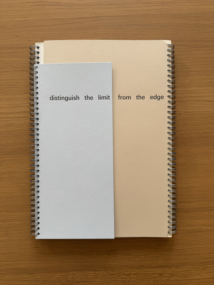 Distinguish the Limit From the Edge by Theresa Hak Kyung Cha and Jimmy Robert 1