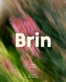Brin
