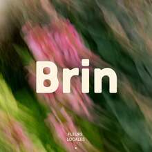 Brin