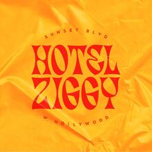 Hotel Ziggy