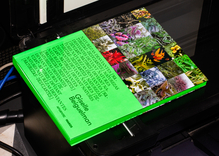 Giselle Beiguelman – <cite>Naturezas Desviantes </cite>at MARGS