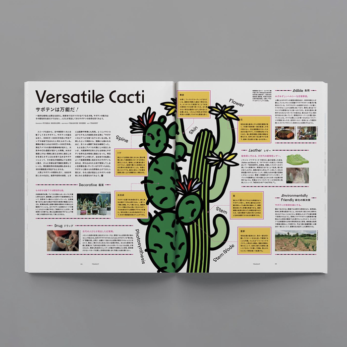 TRANSIT magazine no. 60, Mexico issue 3