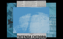 Tatenda Chidora