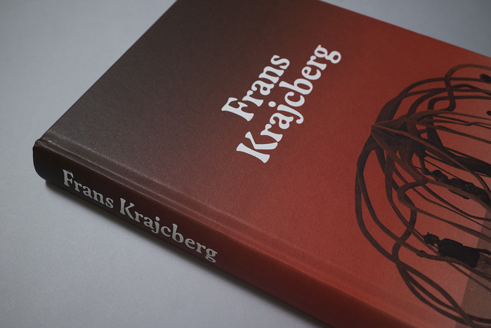 Frans Krajcberg. Reencontrar a árvore exhibition at MASP 6