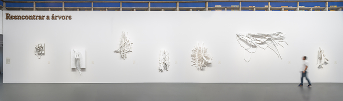 Frans Krajcberg. Reencontrar a árvore exhibition at MASP 5