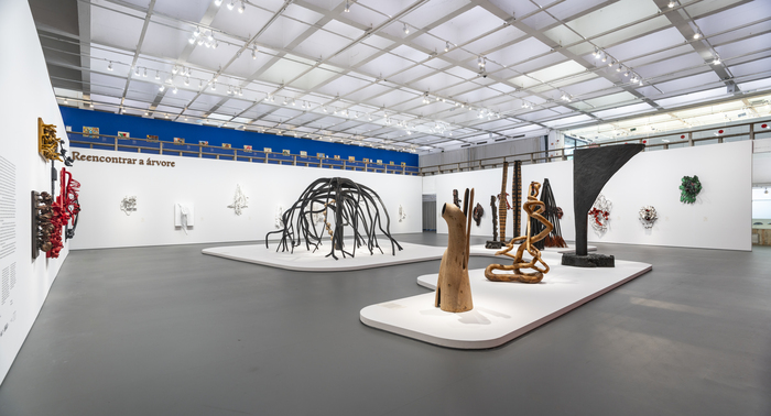 Frans Krajcberg. Reencontrar a árvore exhibition at MASP 3