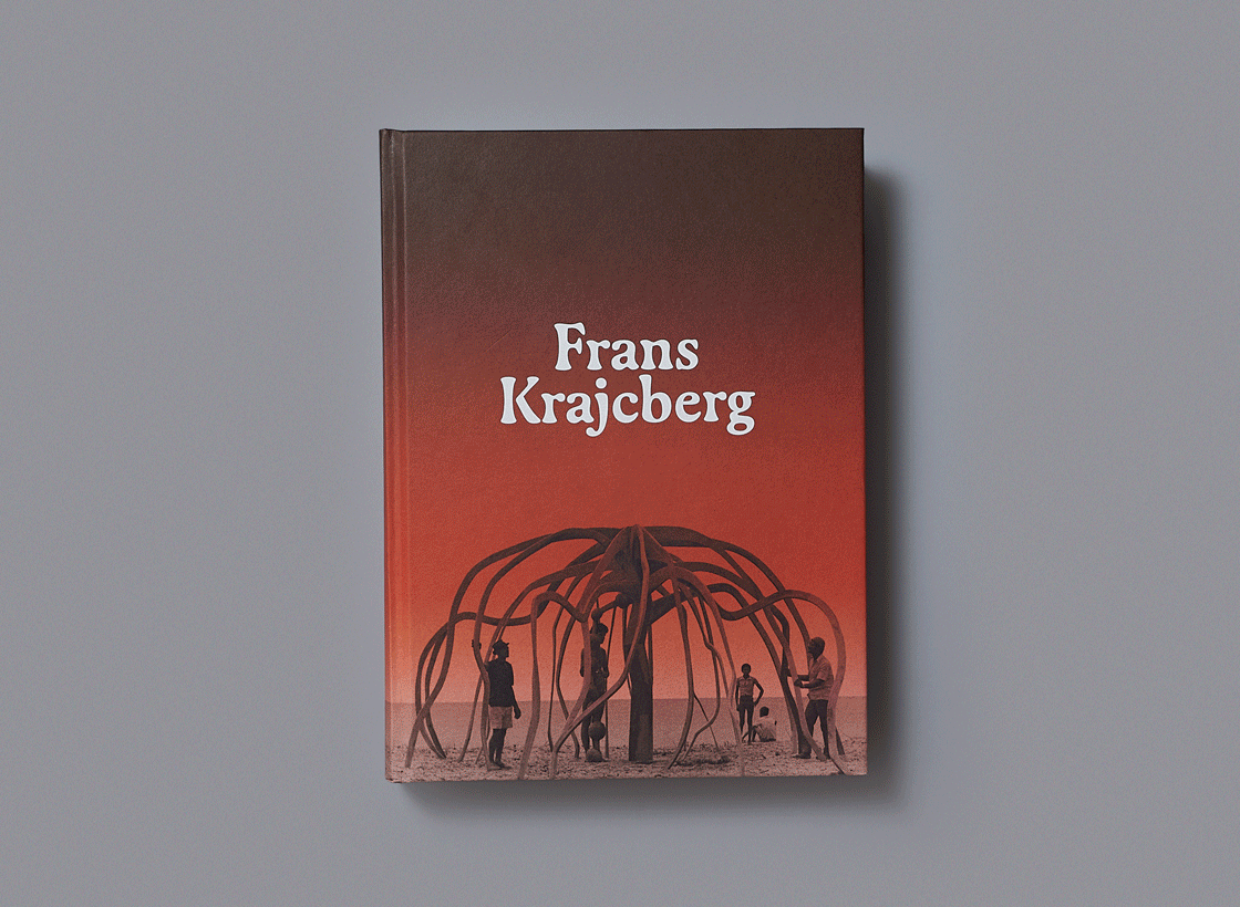Frans Krajcberg. Reencontrar a árvore exhibition at MASP 7