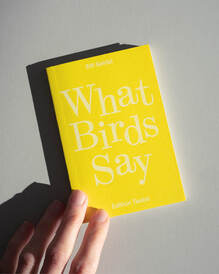 <cite>What Birds Say </cite>by Elfi Seidel