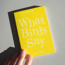 <cite>What Birds Say </cite>by Elfi Seidel