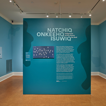 <cite>Natchiq | Onkeehq | Isuwiq</cite> at RISD Museum