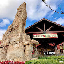 Great Wolf Lodge