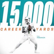 Miami Dolphins (2024)