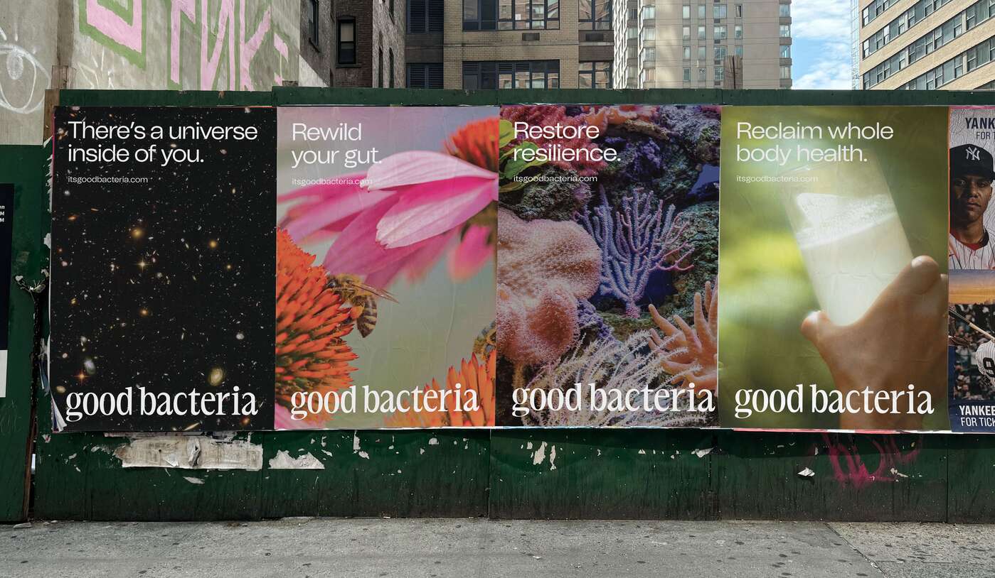 Good Bacteria