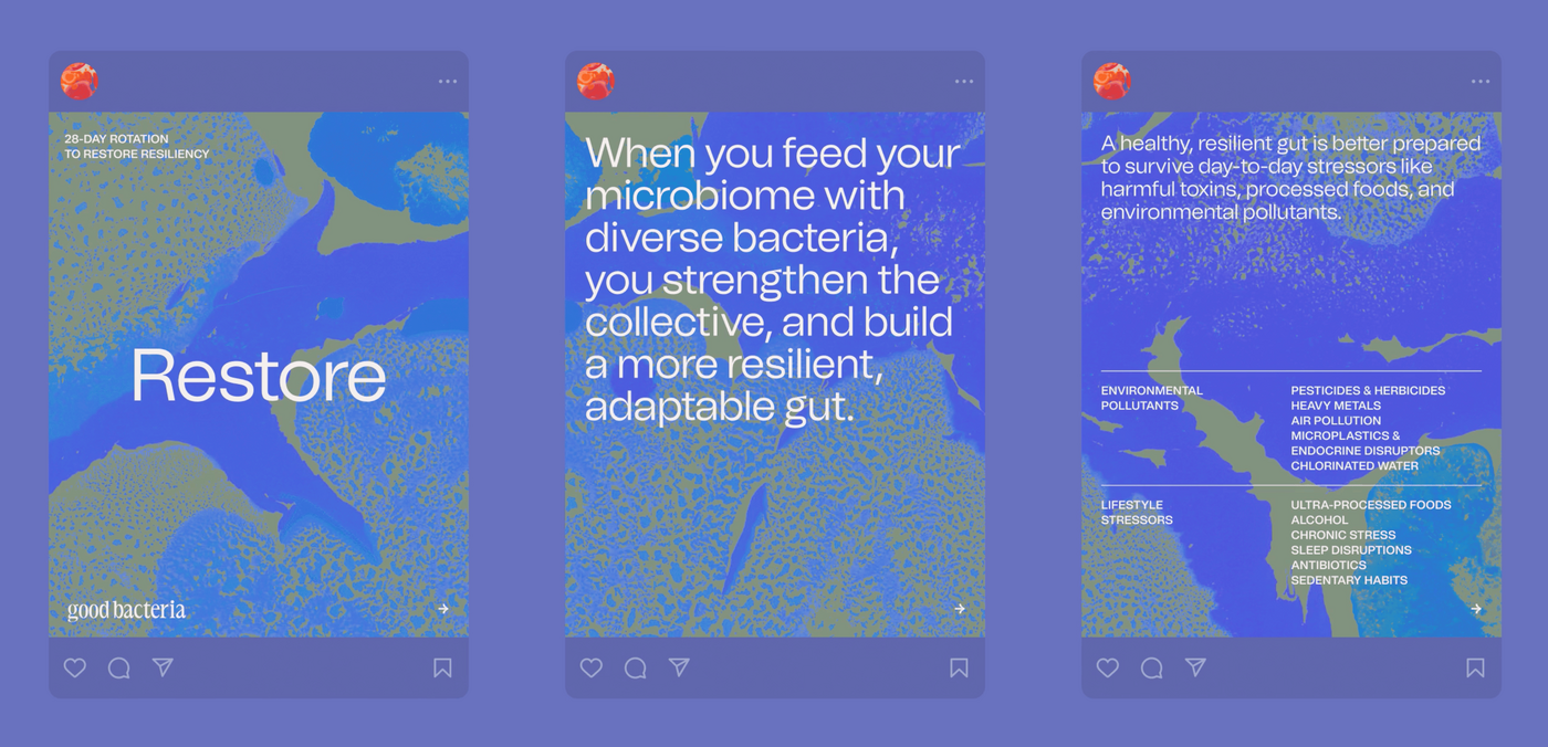 Good Bacteria