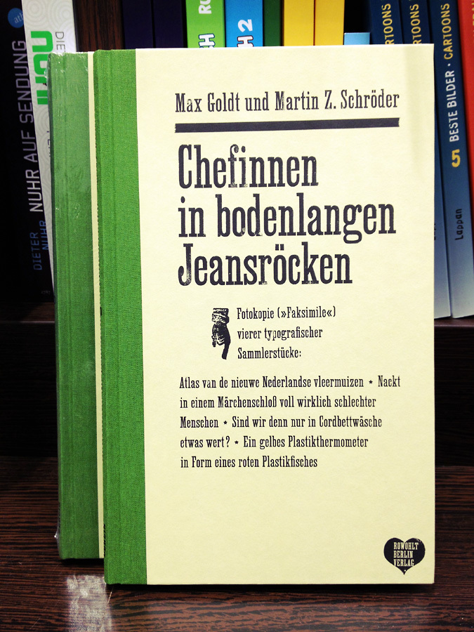 Chefinnen in bodenlangen Jeansröcken book cover