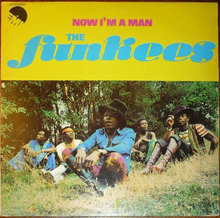 The Funkees – <cite>Now I’m a Man</cite> album art