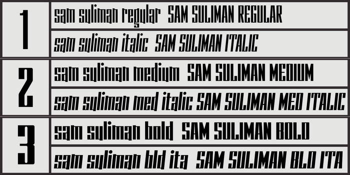 Style overview for the Sam Suliman typeface family by Keith Bates (K-Type, 2020)