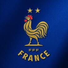 FFF – French Football Federation