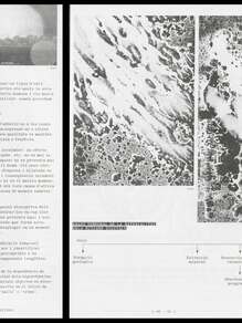 <cite>Hiperfòssils: L’estranya materialitat dels mitjans digitals</cite>