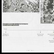 <cite>Hiperfòssils: L’estranya materialitat dels mitjans digitals</cite>