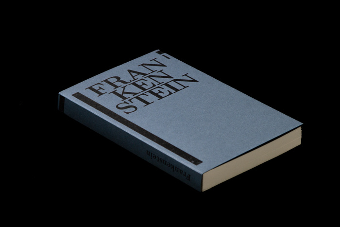 Frankenstein by Mary Shelley, HAW Hamburg student project 1