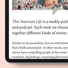 <cite>This American Life</cite> identity and website