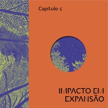 Arapyaú Institute annual report 2025