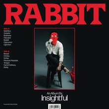 Insightful – <cite>Rabbit</cite> album art