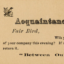 “Fair Bird” acquaintance card