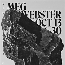 Meg Webster lecture announcement