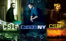 <cite>CSI</cite> television series