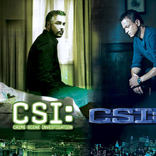 <cite>CSI</cite> television series