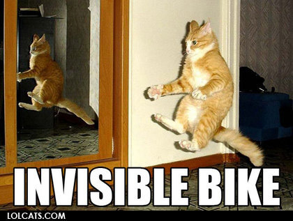 LOLcats internet meme 2