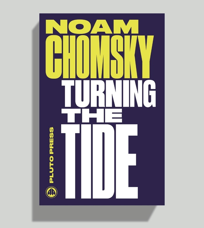 Chomsky Perspectives book series 6