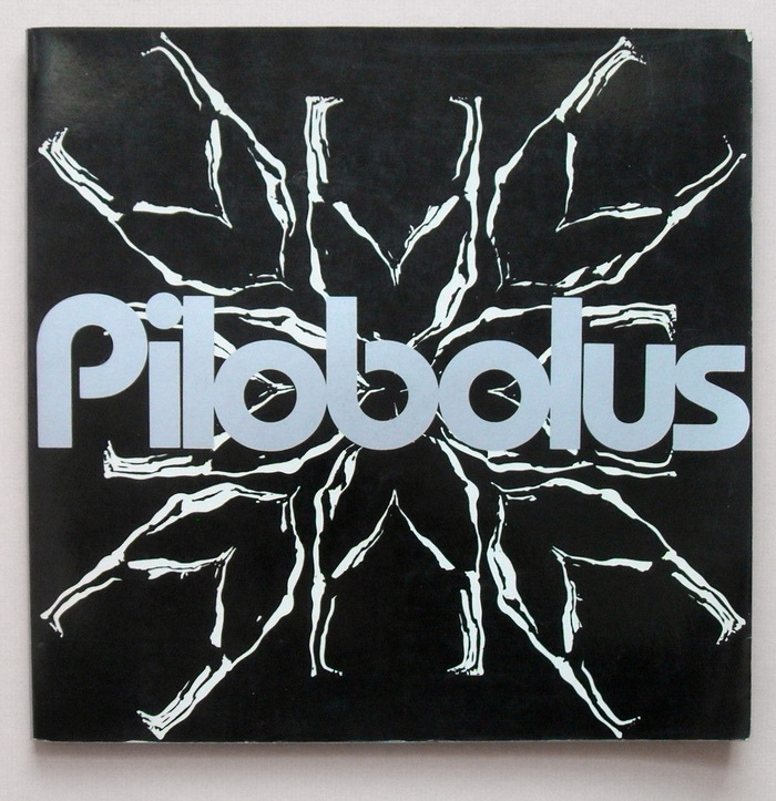 Pilobolus 1