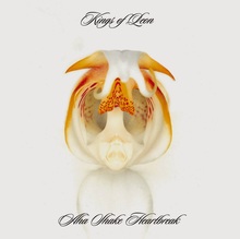 <cite>Aha Shake Heartbreak</cite> by Kings of Leon