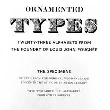 <cite>Ornamented Types</cite> introduction and prospectus