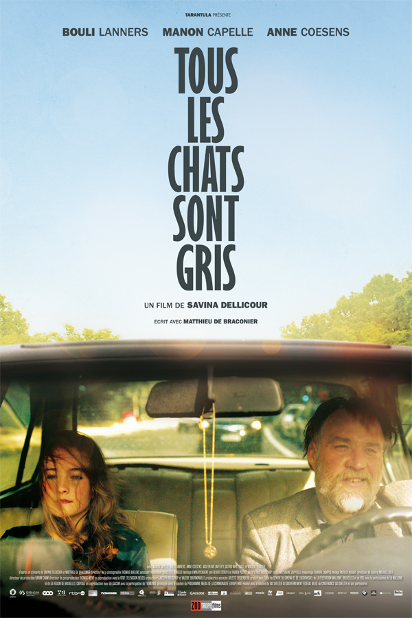 Tous les chats sont gris movie poster 2