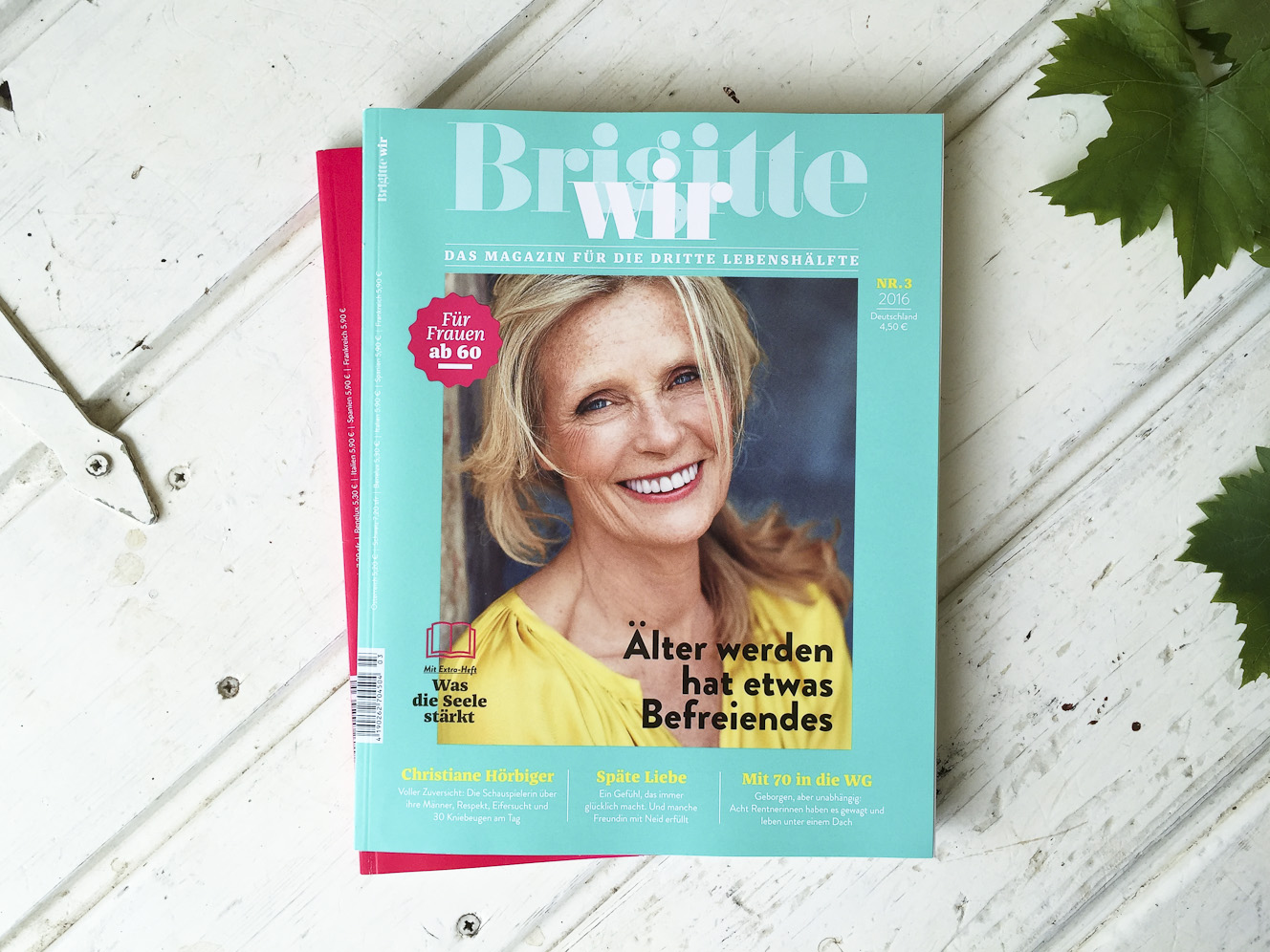 Brigitte wir, issue 3, 2016 - Fonts In Use