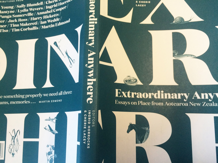 Extraordinary Anywhere: Essays on Place from Aotearoa New Zealand 6