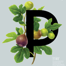 Primitia fig poster