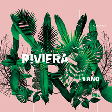 Riviera 1 ano