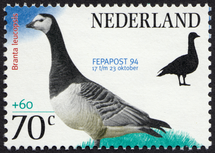 FEPAPOST 94 bird stamps 1