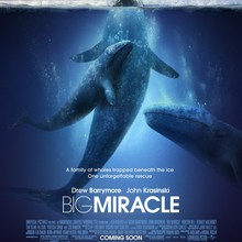 <cite>Big Miracle</cite> movie poster