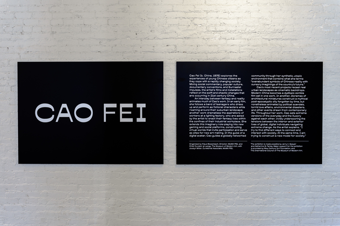 Cao Fei at MoMA PS1 2