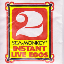 Sea-Monkey packets