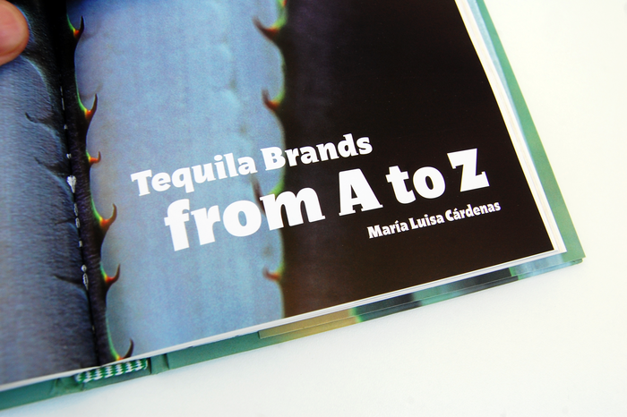 Guía del Tequila, Artes de México 11