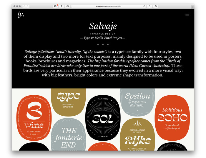 Typozon portfolio website (2017) 3